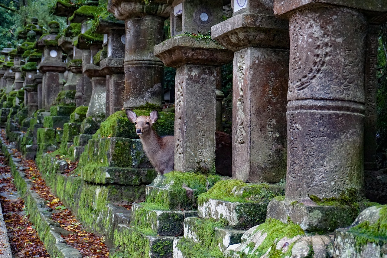 Traditional Japanese Garden with Stone Elements